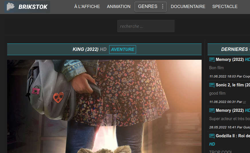 brikstok film streaming