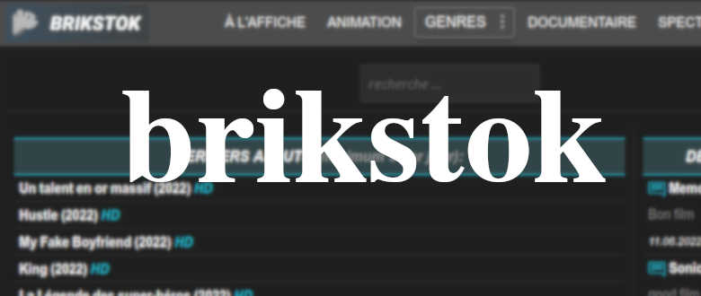 brikstok film streaming