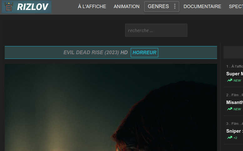 rizlov film streaming